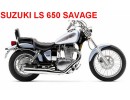 Suzuki LS 650 Savage